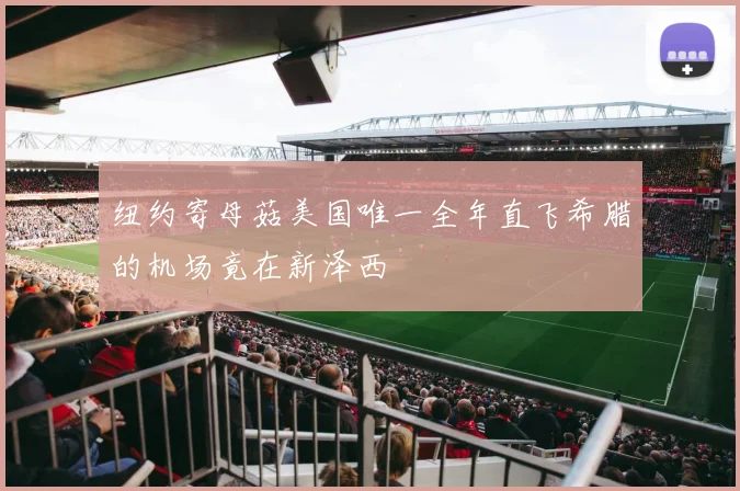 纽约寄母菇美国唯一全年直飞希腊的机场竟在新泽西